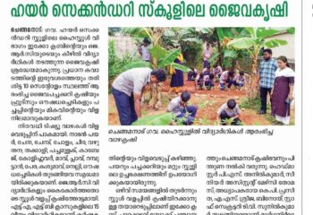 467757540_122139477206363354_4560493365285423970_n